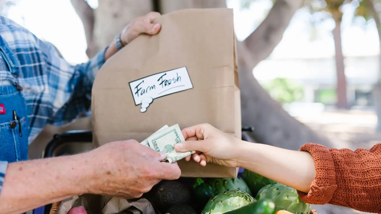Money Shopping Bag